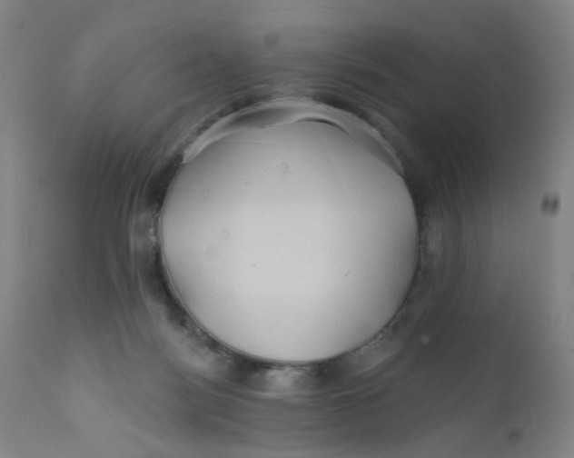 X0000112200172200909041325
