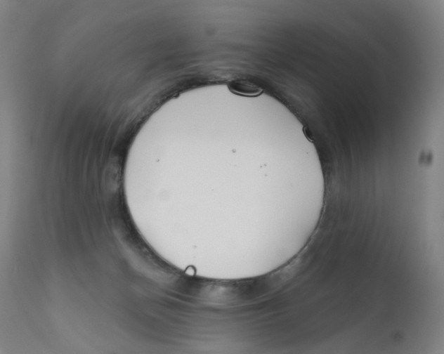 X0000112200174200909041326