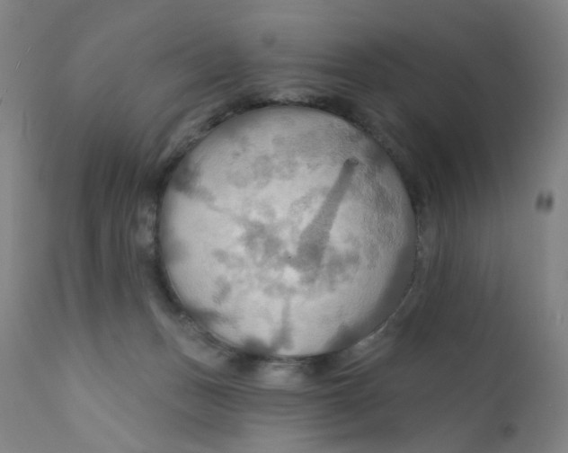 X0000112200175200909041326