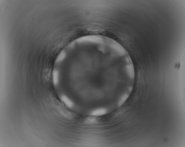 X0000112200177200909041326