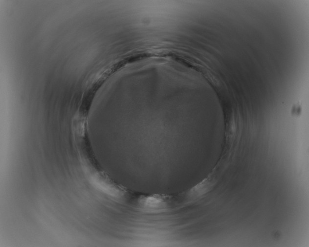 X0000112200180200909041326