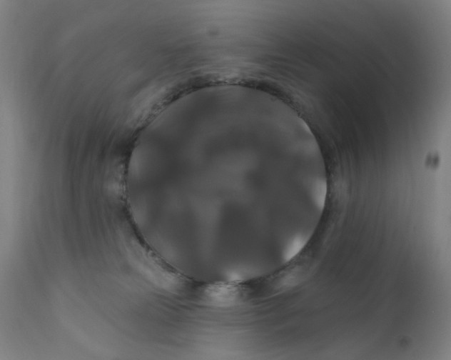 X0000112200181200909041326