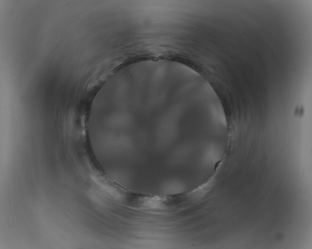 X0000112200182200909041326