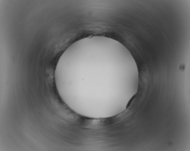 X0000112200184200909041326