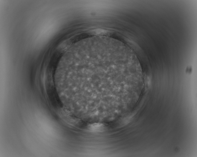 X0000112200189200909041326