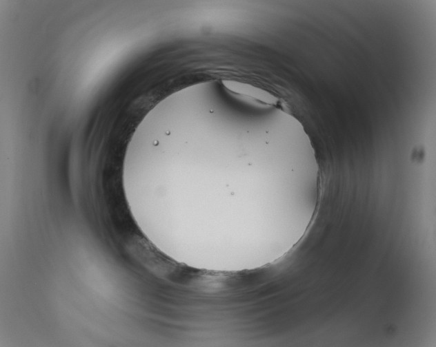 X0000112200190200909041326