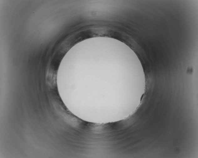 X0000112200191200909041326
