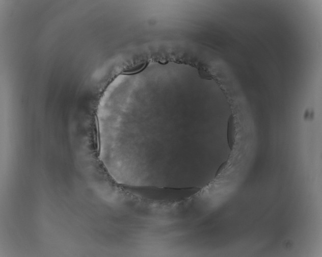 X0000112200192200909041326