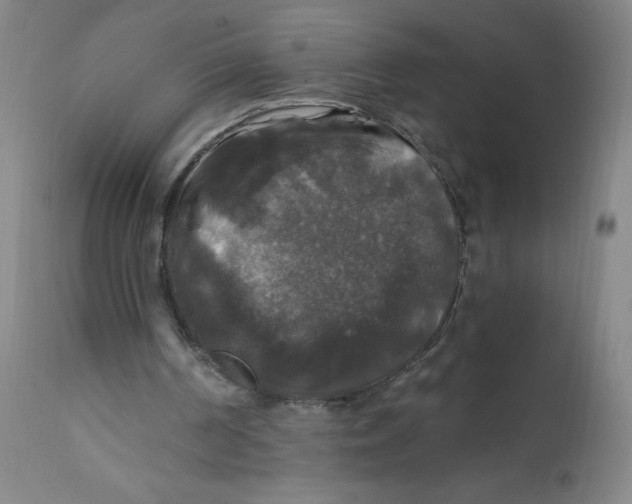 X0000112200194200909041325