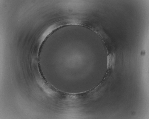 X0000112200195200909041325