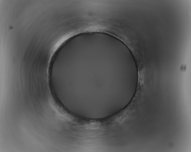 X0000112200196200909041325