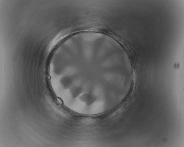 X0000112200198200909041325