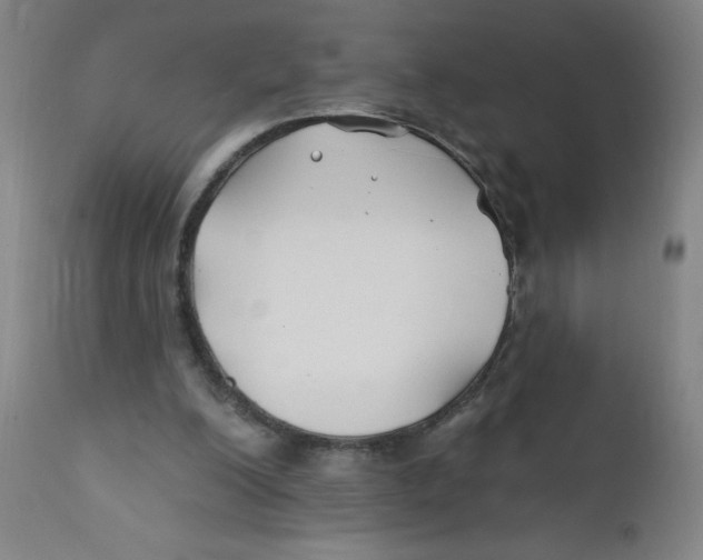 X0000112200200200909041325