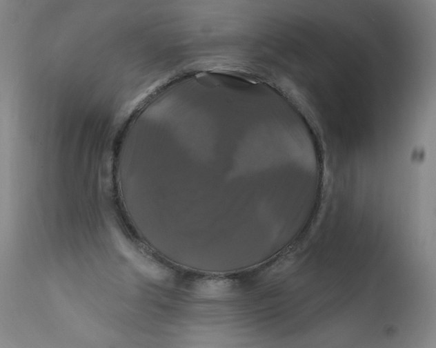 X0000112200202200909041325