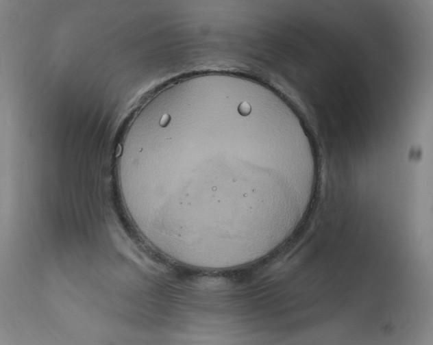 X0000112200203200909041325