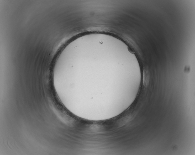 X0000112200204200909041325