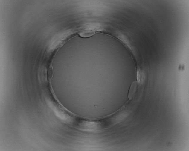 X0000112200205200909041325