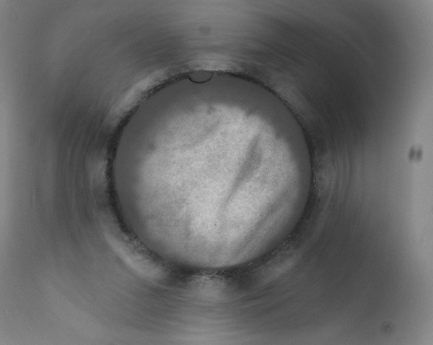 X0000112200207200909041325