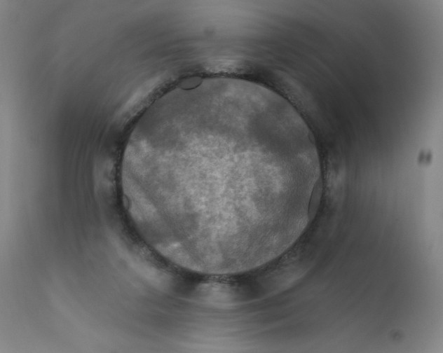 X0000112200211200909041325
