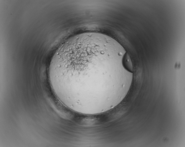 X0000112200213200909041325