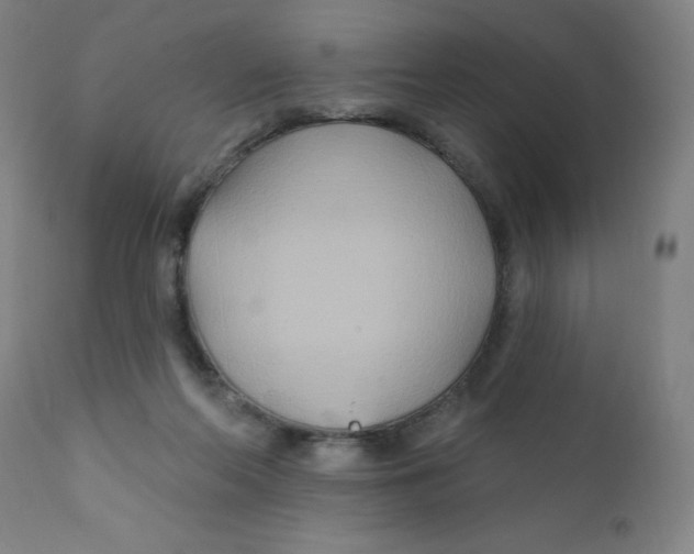 X0000112200214200909041325
