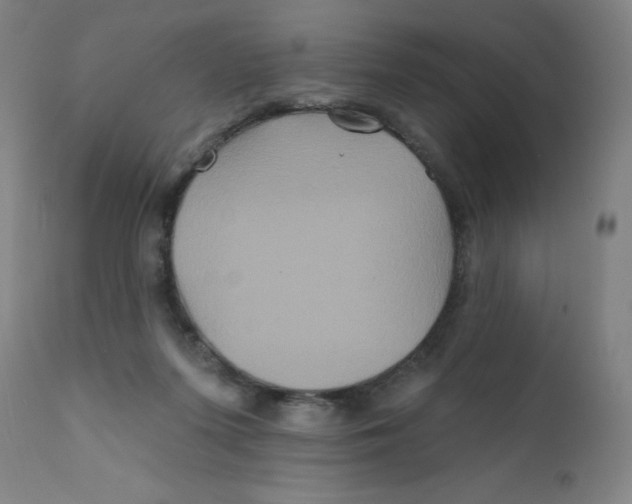 X0000112200215200909041325