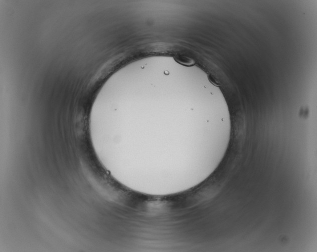 X0000112200216200909041325