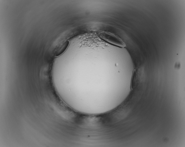 X0000112200217200909041325