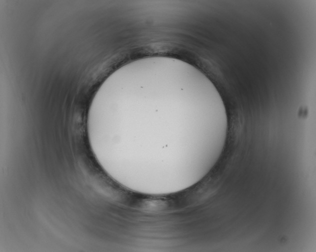 X0000112200220200909041325