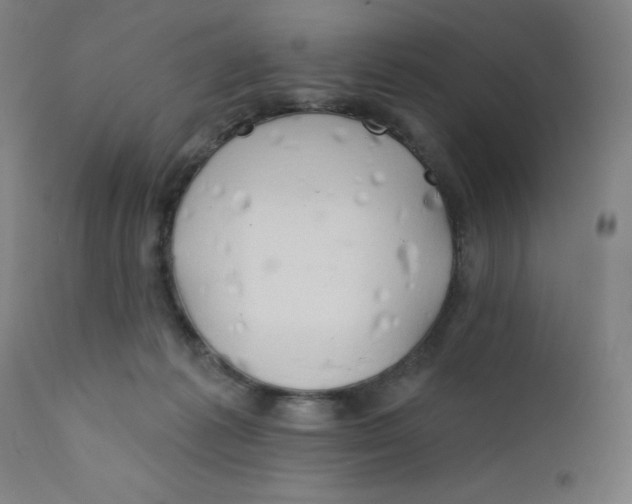 X0000112200221200909041325