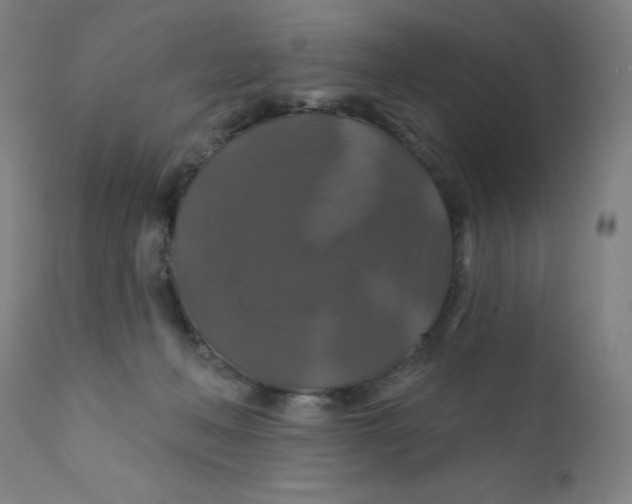 X0000112200222200909041325