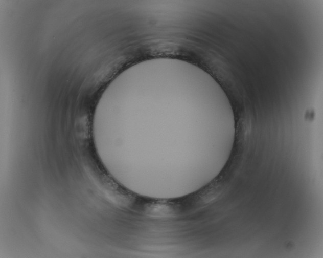 X0000112200224200909041325
