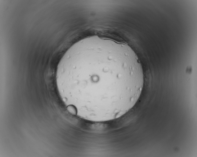 X0000112200225200909041324