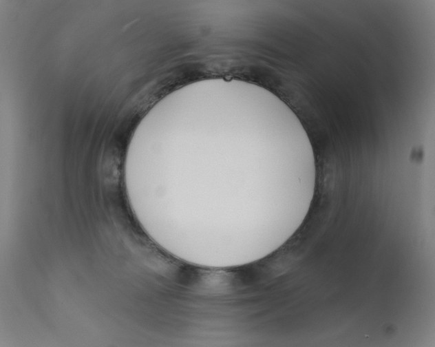 X0000112200226200909041324