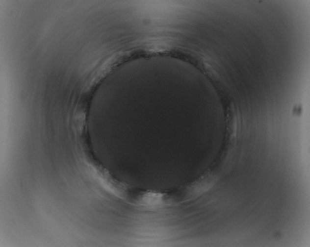 X0000112200227200909041324