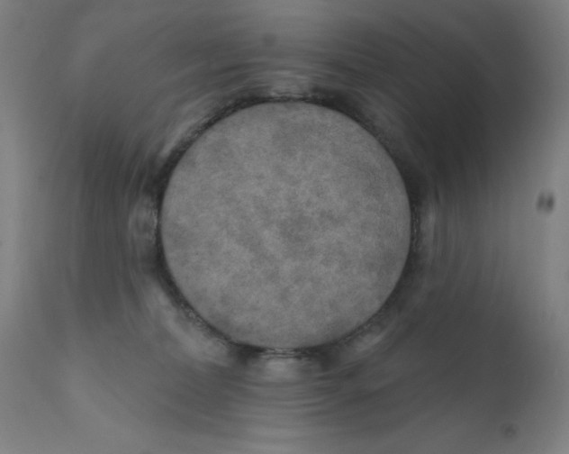 X0000112200228200909041324