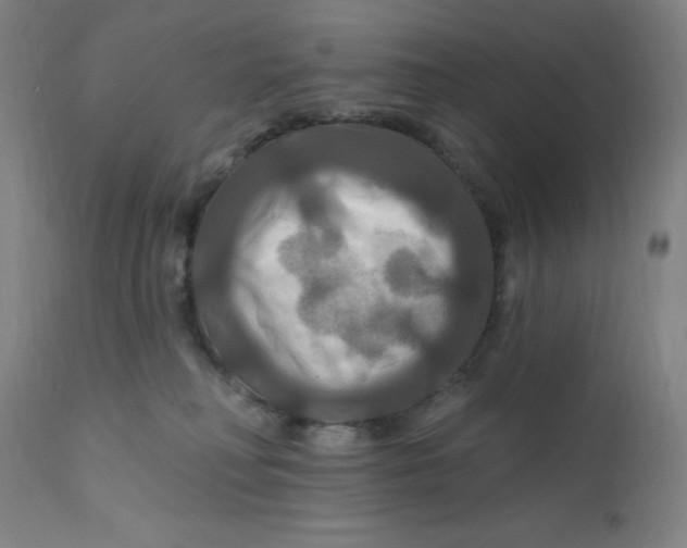 X0000112200230200909041324