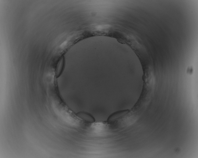 X0000112200231200909041324