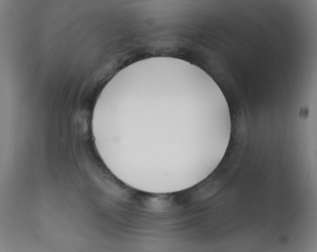 X0000112200232200909041324
