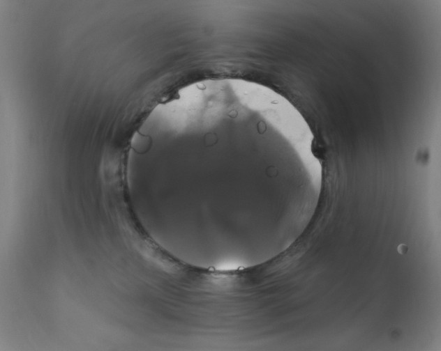 X0000112200233200909041324