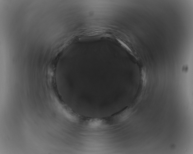 X0000112200235200909041324