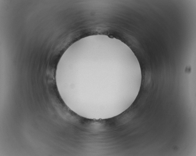 X0000112200236200909041324