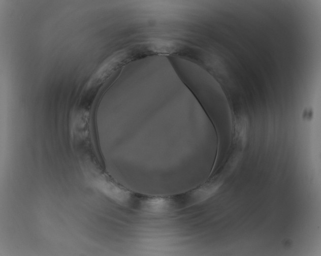 X0000112200237200909041324