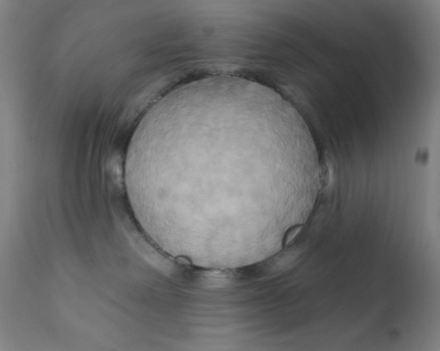 X0000112200238200909041324