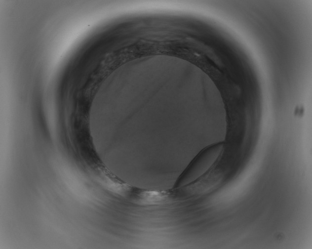 X0000112200239200909041324