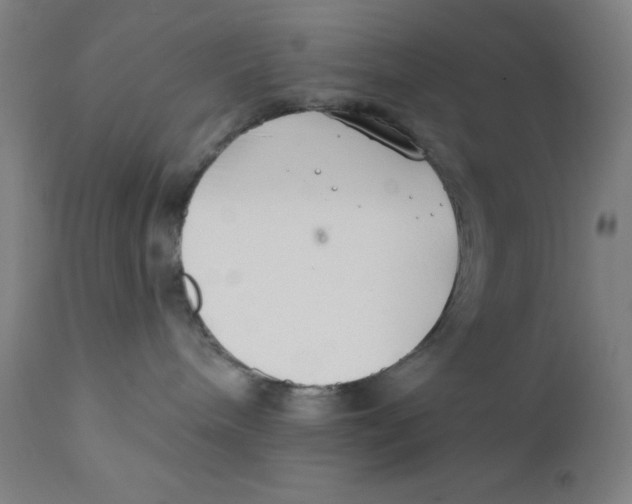 X0000112200240200909041324