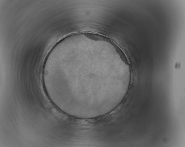 X0000112200241200909041324