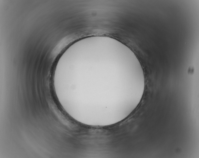 X0000112200242200909041324