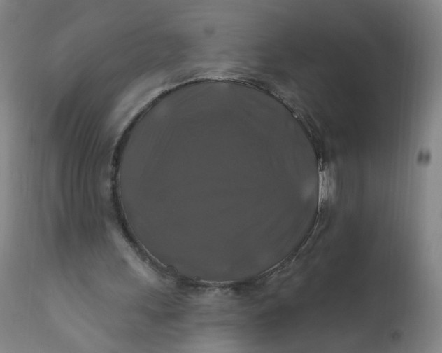 X0000112200243200909041324