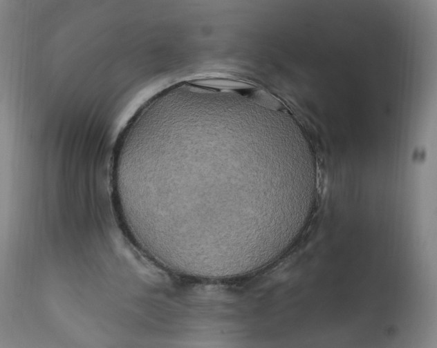 X0000112200244200909041324
